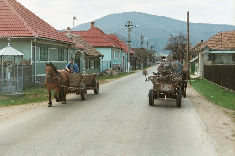Pferdewagen / carute cu caie